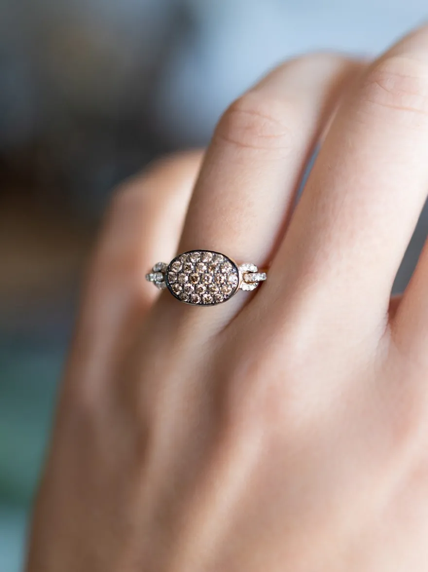 Amori Ring Champagne Diamant NR11941BR + Luxe Cadeau
