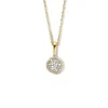 Bicolor collier met briljant 0,23crt. + Luxe Cadeau