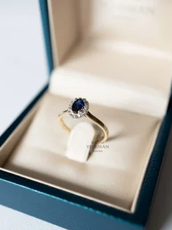 Bicolor gouden entourage ring met briljant en saffier