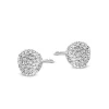 Bigli Mini Waves Oorstekers 23O76WDIA + Luxe Cadeau