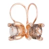 Bron Phlox oorbellen 8OR4755SQCBR + Luxe Cadeau