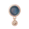 Bron sushi broche met topaas en diamant 8BR1285TLCCBR