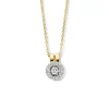 Collier bicolor briljant 0,12 crt. Veerman Juwelen collectie