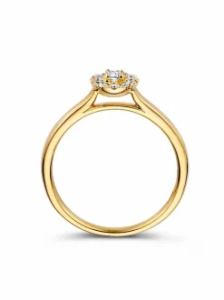 Geelgouden entourage ring met briljant 0,21crt. + Luxe Cadeau