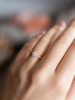 Geelgouden entourage ring met briljant 0,45crt. + Cadeau