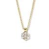 Gouden collier met rozet diamant hanger + Luxe cadeau