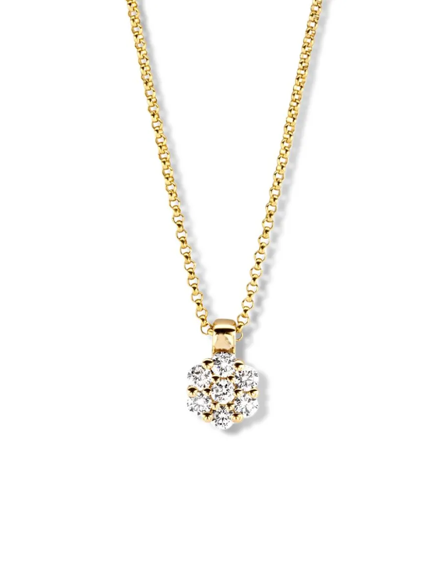 Gouden collier met rozet diamant hanger + Luxe cadeau