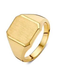 Zegelring achthoek geelgoud massief + luxe cadeau